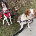 Franklin and Winston