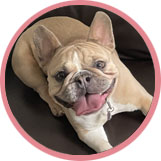 Lulu