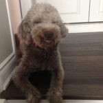 Chloe loved to smile