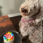 Happy Birthday Chloe!