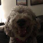 Say Cheese! What a great smile, Chloe!