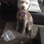 I'm sorry I had the wafers, Mom!